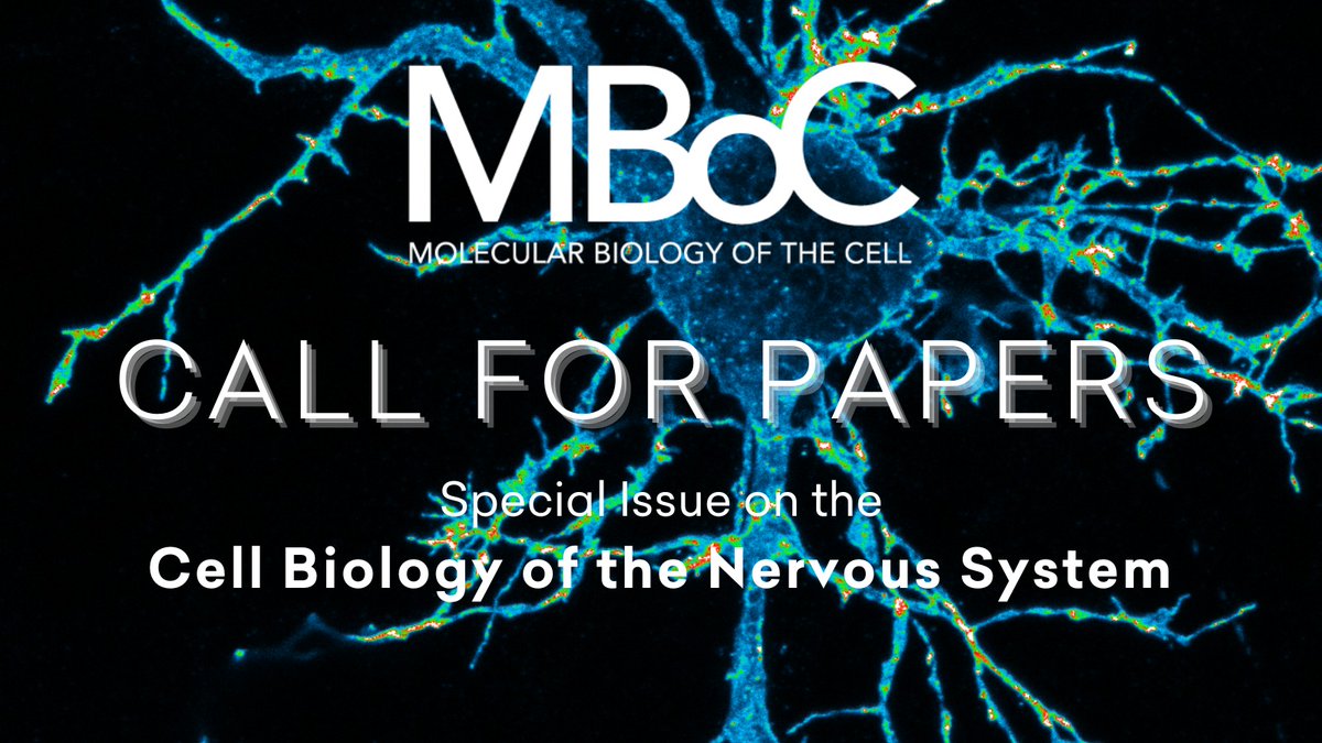 MBoC Call for Papers: Special Issue on #CellBiology of the #NervousSystem Submit an article by Sept 1 to be considered by lead editors: @RodalLab, @BrandeisU @stephgupton1, @UNC Learn more and submit: molbiolcell.org/nervous-system/