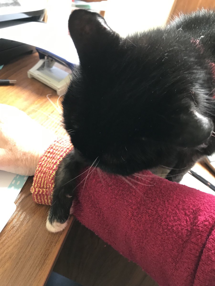 Mammabell15's tweet image. My co worker is interfering with the movement of the mouse 🐭🙈this could be a matter for HR 🤓#officeproblems #timeforlunch