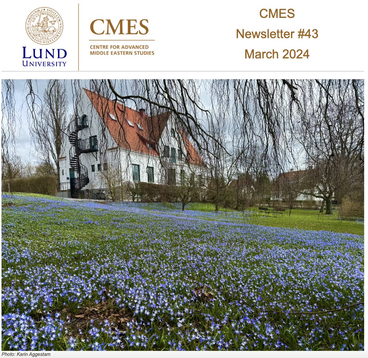 Read the latest CMES Newsletter about our ongoing research activities, upcoming events and recent publications! @lunduniversity @swemena @NSMES_ME cmes.lu.se/outreach/cmes-…