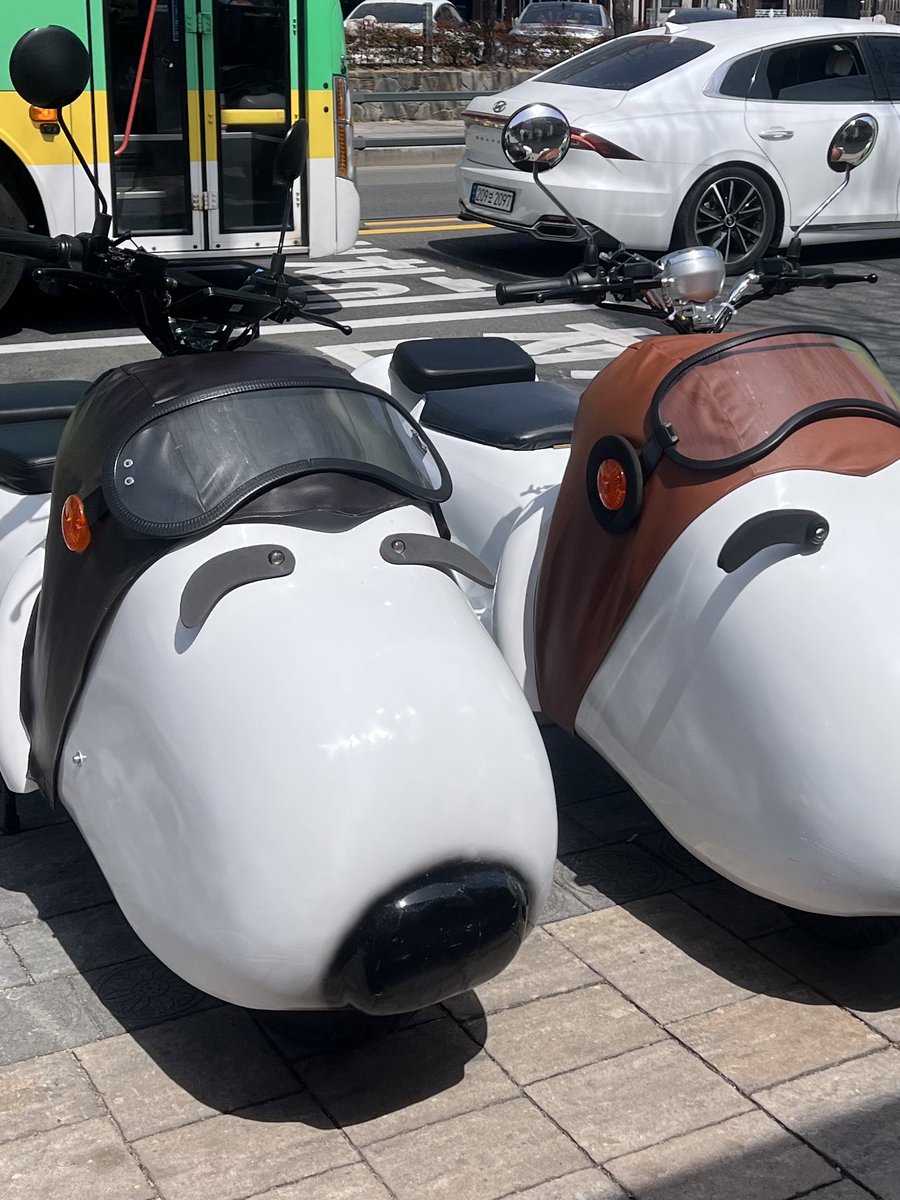 toastysiopao's tweet photo. found snoopy bikes😭 https://t.co/Q1SLR7rVKp