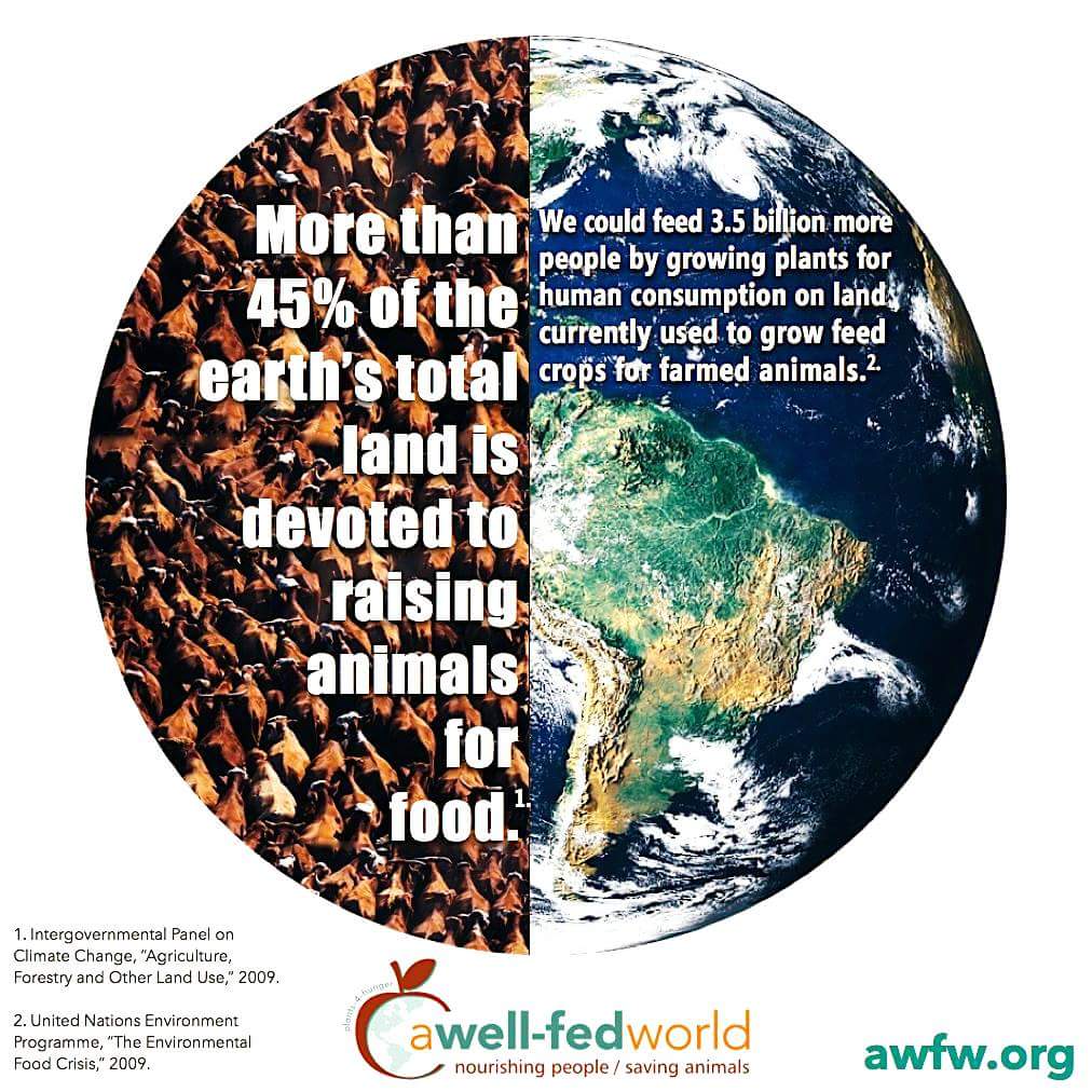 Someone: "There are kids starving in Africa"

my brain: 
don’t say it
don’t say it
don’t say it
don’t say it
don’t say it
don’t say it
don’t say it
don’t say it
don’t say it
don’t say it

Me: "Maybe they wouldn't be if you didn't feed their crops to animals"