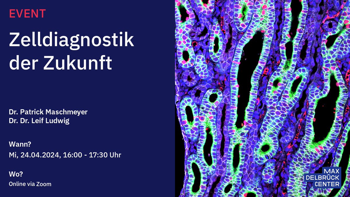 Damit wir funktionieren können, müssen unzählige Zellen miteinander kommunizieren, sich entwickeln und spezialisieren. Wie wir das mithilfe moderner Technologien beobachten und was wir daraus über Krankheiten lernen, erfahren Sie am 24.4.. Jetzt anmelden: mdc-berlin.de/de/LTL23%7C24