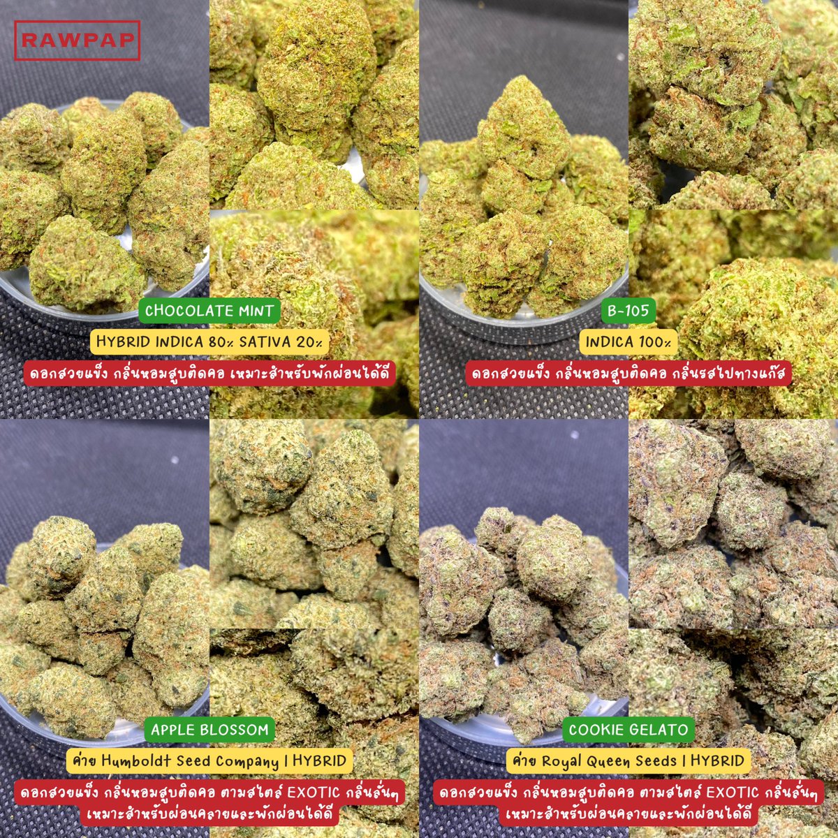 weed420tpp's tweet photo. ขอบคุณครับลูกพี่ สนใจDMได้เลย🙏🏻💚
IG : rawpap_th
FB : Rawpap
Line@ : https://t.co/xo7jupTihP 
#กัญชา #กัญชาออแกนิค #กรุงเทพ #กัญชาog #กัญชาเสรี #สุขุมวิท #อุดมสุข #ศรีนครินทร์ #บางนา #กัญชาสุขุมวิท #กัญชาอุดมสุข #อ่อนนุช #บางจาก #ตลาดรถไฟ #ศรีอุดม #กัญชาราคาถูก #กัญชากทม https://t.co/K2q8LAFcuT