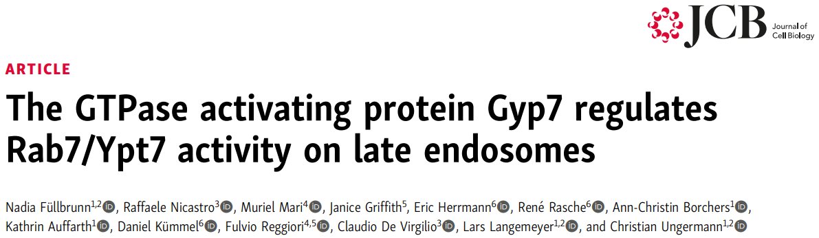 📢Exciting news! Thrilled to share our latest publication with the esteemed @UngermannLab. It's always an honor to work alongside this exceptional team and we're proud of the achievements we've reached together!🎉#Collaboration #TeamWork #ResearchSuccess 👉doi.org/10.1083/jcb.20…