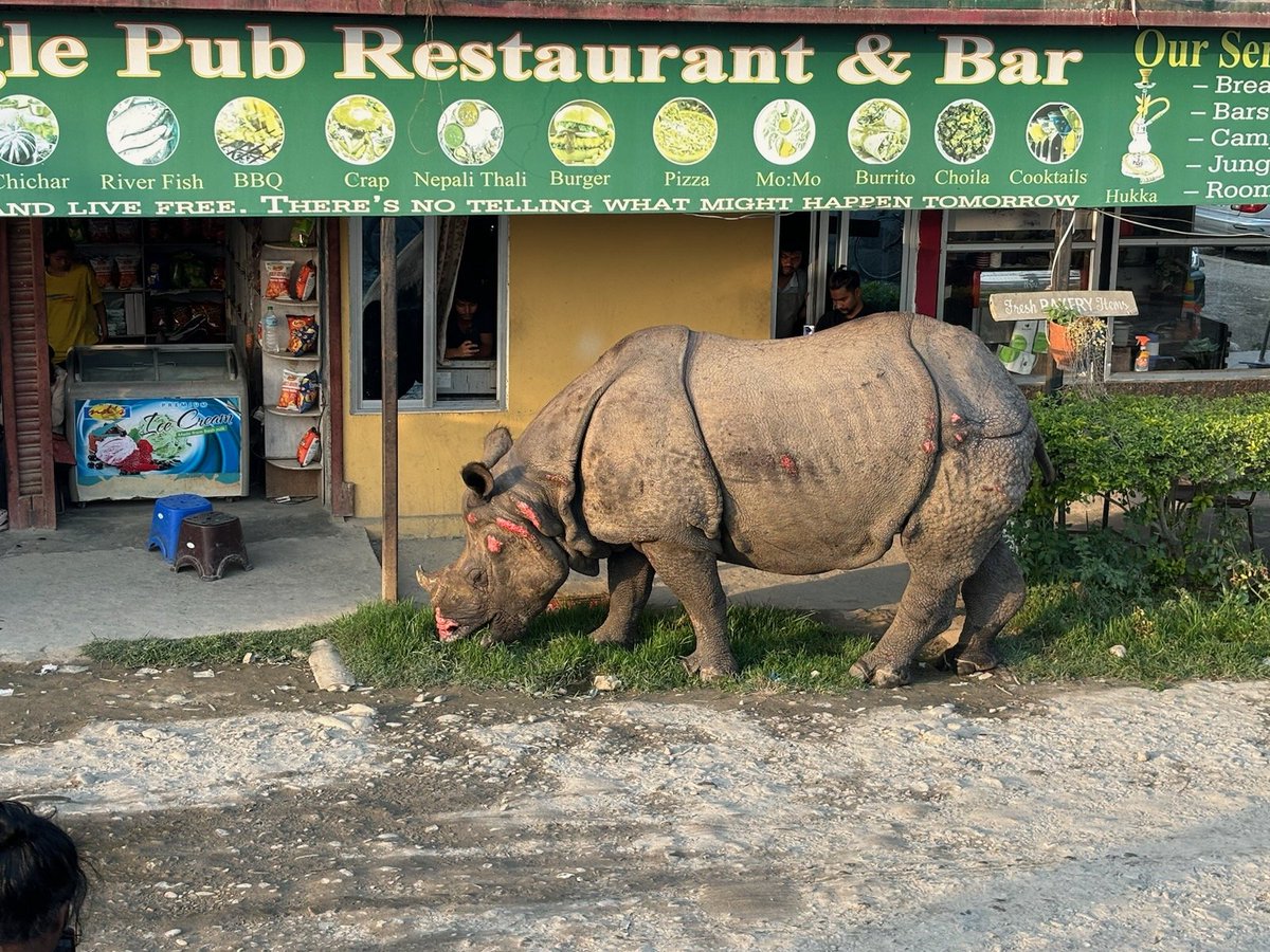 New Nepal pic from my son. You probably need to pay attention before stumbling out of the pub. Also, check out the English on the sign.