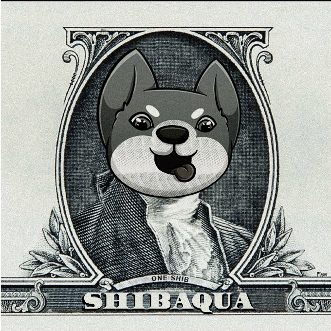 In a few hours, we'll be announcing our choice for the listing on an exchange. 🚀🌐 #Shibaqua #Shib #BNB
