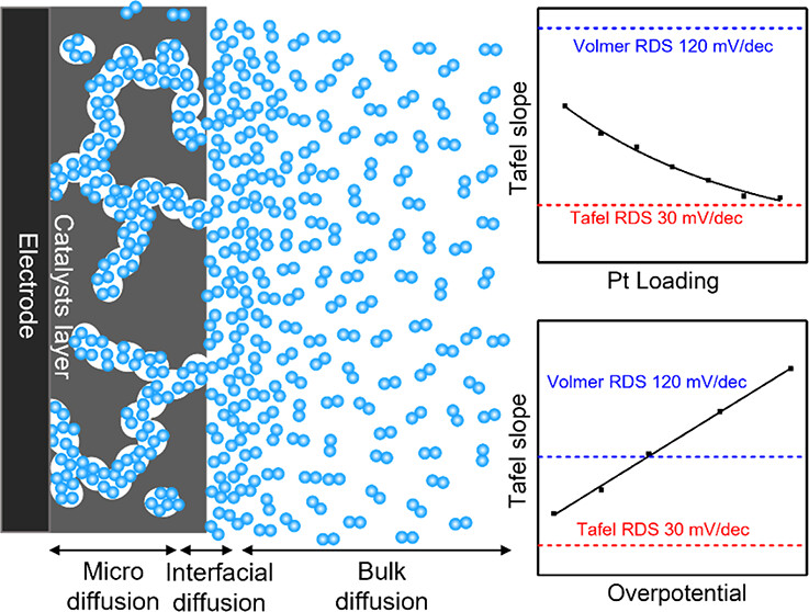 The Tafel slopes for the hydrogen evolution reaction show distinct loading and potential dependence, which can be attributed to diffusion limitations and locally trapped H2 in the catalyst layer NEW #ASAP by Xiangfeng Duan, Yu Huang & team Read it here: go.acs.org/8Iq