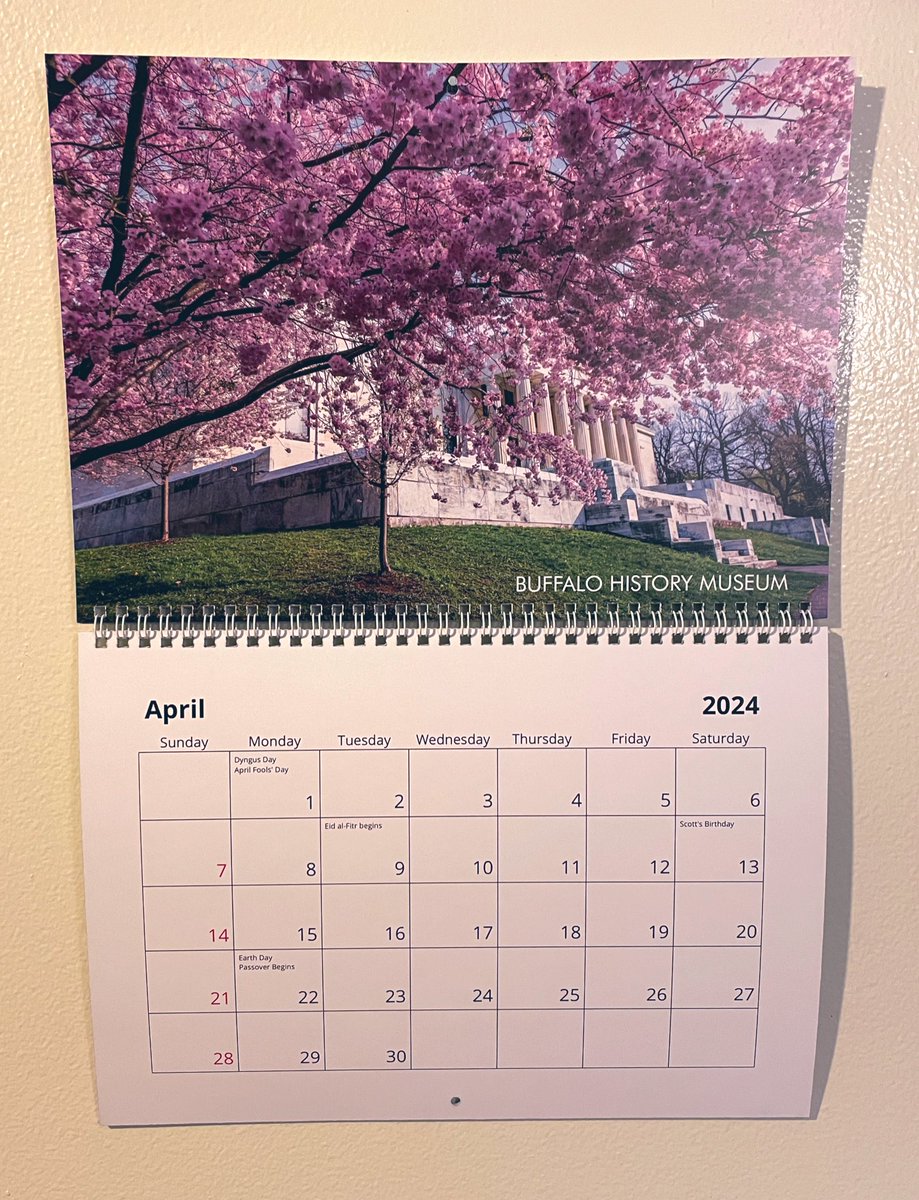 April on my Buffalo ‘24 📸 calendar featuring the annual cherry blossoms at the @BuffaloHistory 🦬🌸🗓️