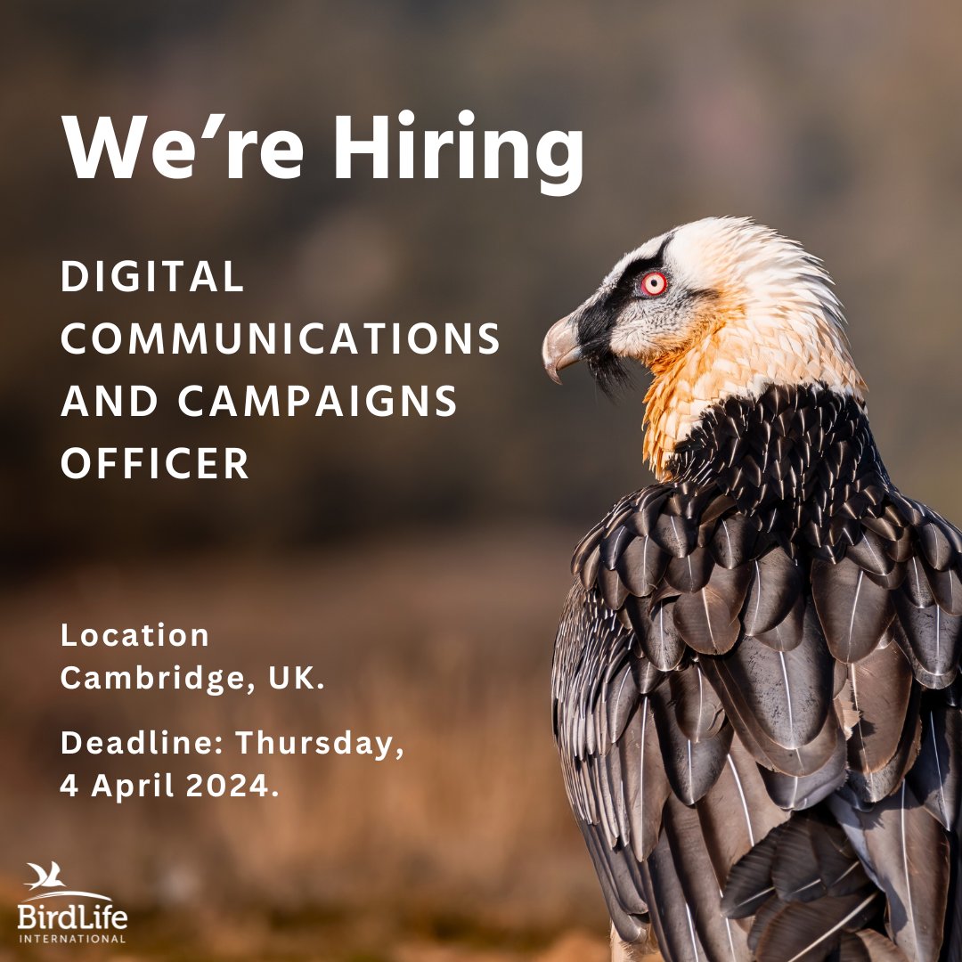 🌟 WE'RE HIRING! 🌟 We are looking for a talented DIGITAL COMMUNICATIONS AND CAMPAIGNS OFFICER 📢🌐 to spearhead the engagement of our external audiences. This role is your chance to shine in digital storytelling and make a significant impact through our various digital…