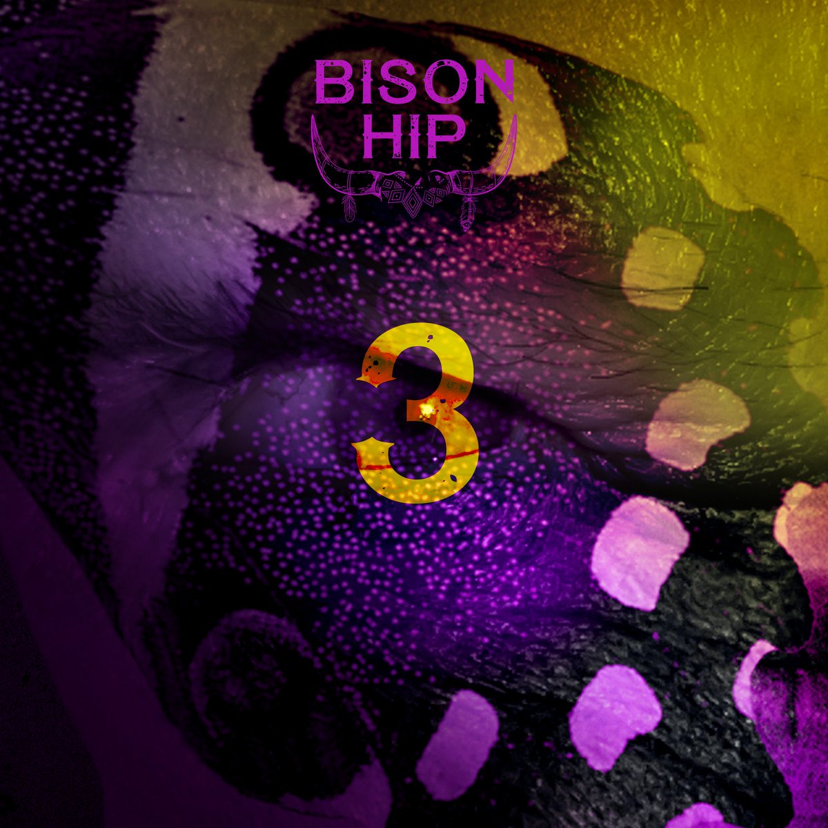 Album Pre-order Friday, ONLY 3 DAYS⚡️BRAND NEW SINGLE ⚡️ “PARASITE” out Friday! 💜💜 💜 🦬🦬🦬 For ticket info on our live shows: bisonhip.com/events/all-eve… #newmusic #blues #parasite #w2troyl #SolidEntertainments #MusicFestival #BluesMusic