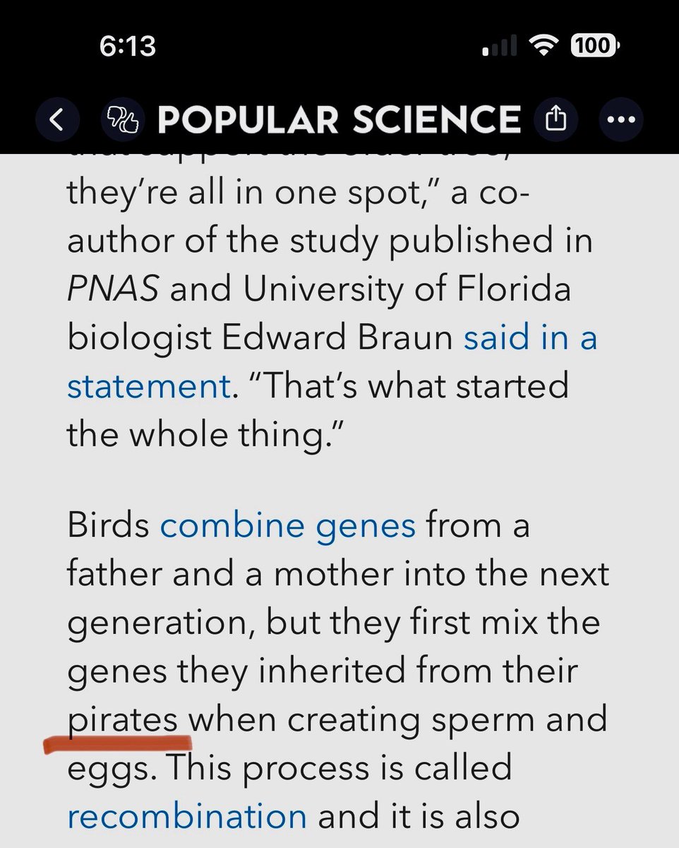 Maggie Romuld tweet media