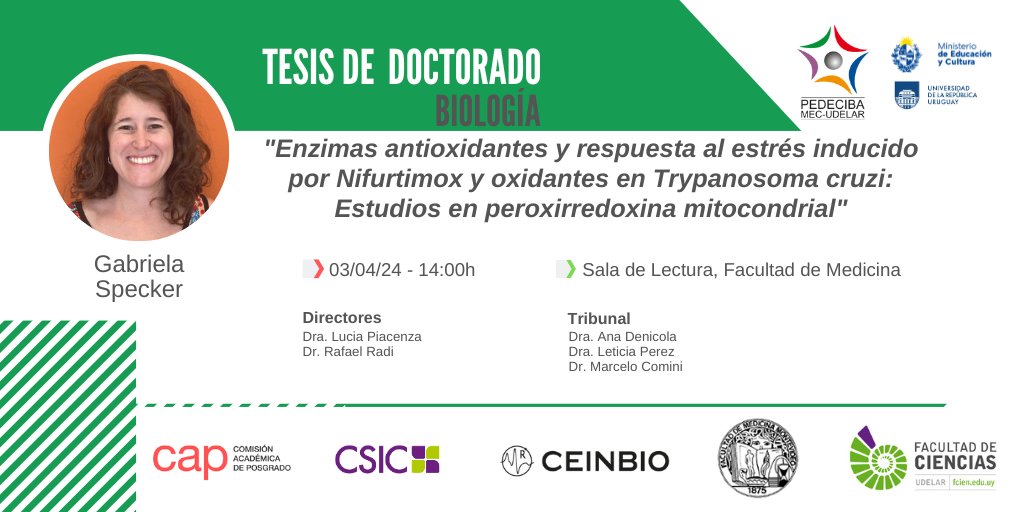 'Enzimas antioxidantes y respuesta al estrés inducido por Nifurtimox y oxidantes en Trypanosoma cruzi: Estudios en peroxirredoxina mitocondrial' Defensa de #Doctorado de la #EstudiantePEDECIBA Gabriela Specker 3/04 - 14h #SomosPEDECIBA +info pedeciba.edu.uy/es/defensa/enz…