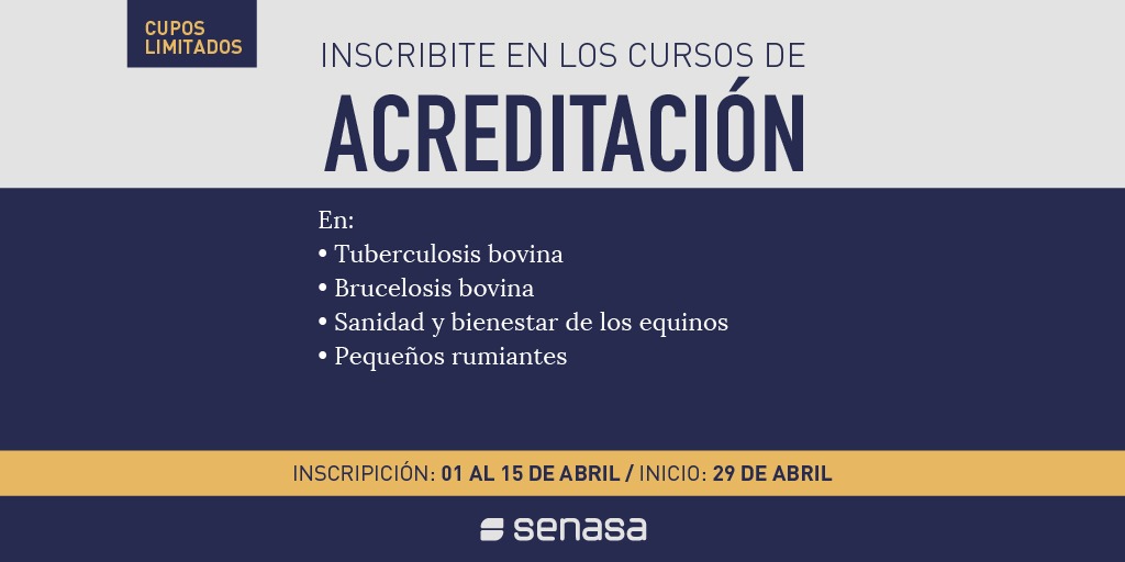 SenasaAR's tweet photo. Ya podés inscribirte en los cursos de acreditación en:
🐄 Tuberculosis bovina
🐂 Brucelosis bovina
🐎 Sanidad y bienestar de los equinos
🐑 Pequeños rumiantes
👩‍💻 Inscripción hasta el 15/04
🗓️ Inicio 29/04 https://t.co/cFgPSIlaBW