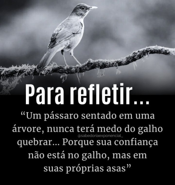 cadilhe_da's tweet photo. @Rackys 👏🏻👏🏻👏🏻👏🏻👏🏻👏🏻👏🏻👏🏻👏🏻Coloco minha assinatura abaixo desse texto!
#TMJs @Rackys 
🙌🕊️📿🪔😷❤️🀄🍀😃😘🤜🤛 https://t.co/SRaz8KP0tT