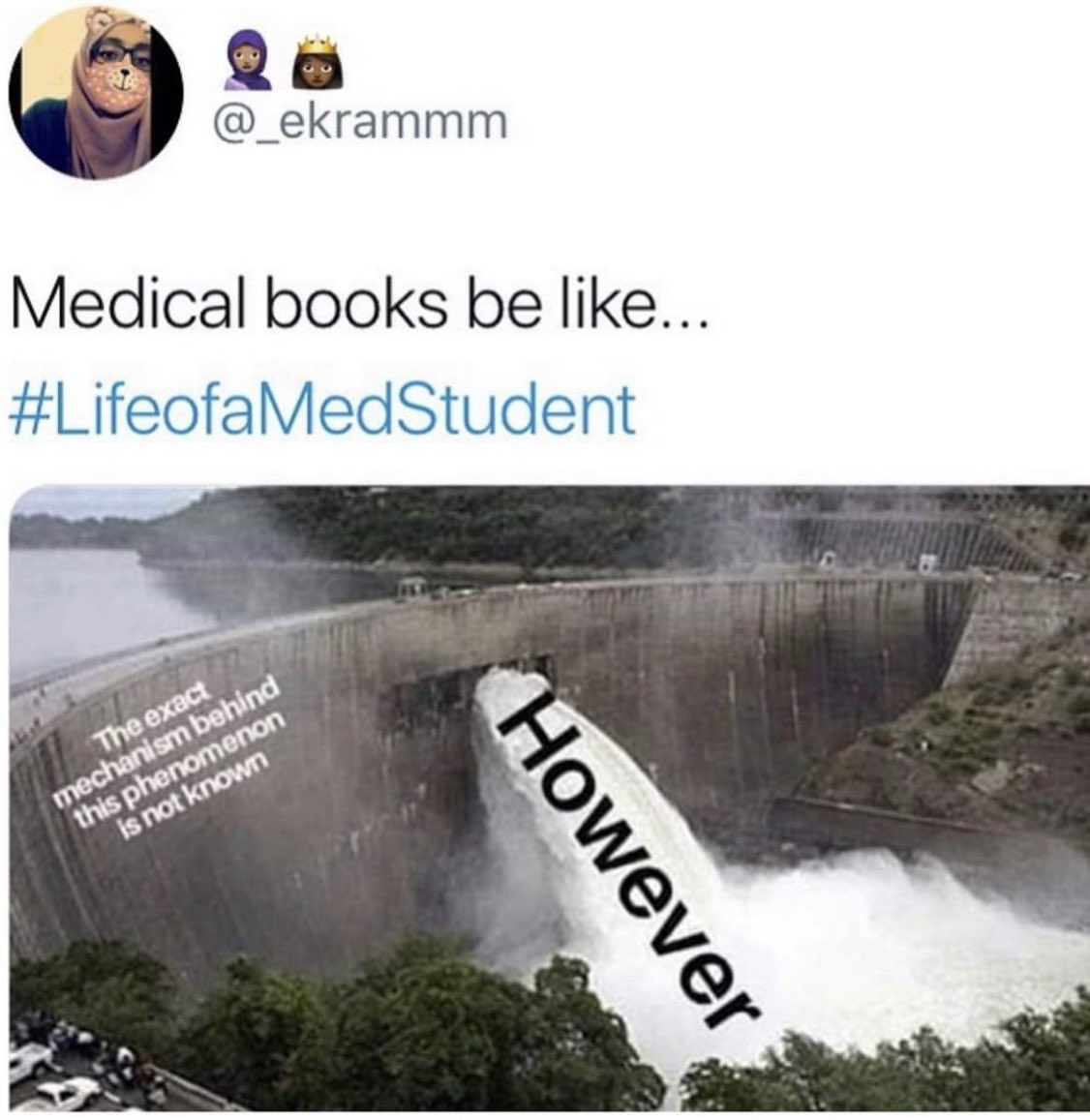 “... however here is an extremely detailed hypothesis that you must memorize like fact, for a worthless exam... that will in no way matter in ⁣
actual clinical patient care....” 
⁣
Did I get that about right?? 😂 #LifeofaMedStudent