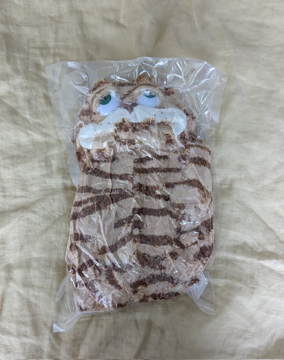 Toddy Quest tweet media