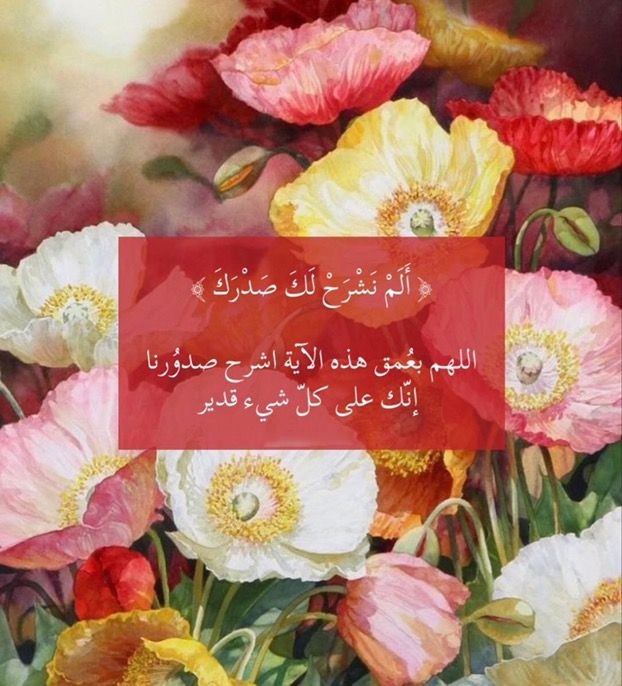 𝕏𝕊𝕒𝕓𝕚𝕟𝕒𝔸𝕟𝕛𝕦𝕞 𝕏 (@sabina78621) on Twitter photo #Ramdan_22
💢
@Ozlerntr
<a href="/sanim4041/">𝘴ꫝꪖꪀ𝓲ꪑشا̾ن̾ي̾م🇪🇬</a>
<a href="/Ozautr/">ÖzleⓂ️ #NikaShakarami -ོ</a>
<a href="/Dr_abeer8/">عبير80K Abeer</a>
<a href="/Alaayous3/">alaa amy</a>
@Leo_Aug22
<a href="/Qs3488/">Qamar Shahzad🦅</a>
<a href="/_HZTT/">عيون المها 🇮🇶</a>
<a href="/adiva4_s/">🌼Adiva Arsyila Savina 🇮🇩🇲🇾</a>
<a href="/Afifah_010187/">Afifah ˚.S͛ᴋⷦy 🇮🇩🇹🇷</a>
<a href="/maha8321553/">🌸maha🌸</a>
<a href="/M_Angela_33/">Maria Angela.🇧🇷🇧🇷🇧🇷🇧🇷🇧🇷</a>
<a href="/Poeta677/">𝓙𝓾𝓪𝓷 𝓒𝓪𝓻𝓵𝓸𝓼 35k</a>
<a href="/k5235m/">Mahboob Ahmad</a>
@kenanthy
<a href="/thykenan/">yıldız beş</a>
<a href="/kcef79/">vuslat dört</a>
<a href="/kamelbslfj/">kamel كمال</a>
<a href="/t6666i/">تركي محمد 💛💙💛💙</a>
<a href="/Luisa1E/">Luisa Elena 🌹Luisa🌷</a>
<a href="/2irr2r/">فواز الدوسري</a>
<a href="/ka20747/">الملكي kasim</a>
<a href="/BAlhbny/">عبد الباسط الحبني</a>
<a href="/SmileTheni1/">Theni</a>
<a href="/sunatys_world/">💎砂岡周二🌹</a> #Ramdan_22
💢
@Ozlerntr
<a href="/sanim4041/">𝘴ꫝꪖꪀ𝓲ꪑشا̾ن̾ي̾م🇪🇬</a>
<a href="/Ozautr/">ÖzleⓂ️ #NikaShakarami -ོ</a>
<a href="/Dr_abeer8/">عبير80K Abeer</a>
<a href="/Alaayous3/">alaa amy</a>
@Leo_Aug22
<a href="/Qs3488/">Qamar Shahzad🦅</a>
<a href="/_HZTT/">عيون المها 🇮🇶</a>
<a href="/adiva4_s/">🌼Adiva Arsyila Savina 🇮🇩🇲🇾</a>
<a href="/Afifah_010187/">Afifah ˚.S͛ᴋⷦy 🇮🇩🇹🇷</a>
<a href="/maha8321553/">🌸maha🌸</a>
<a href="/M_Angela_33/">Maria Angela.🇧🇷🇧🇷🇧🇷🇧🇷🇧🇷</a>
<a href="/Poeta677/">𝓙𝓾𝓪𝓷 𝓒𝓪𝓻𝓵𝓸𝓼 35k</a>
<a href="/k5235m/">Mahboob Ahmad</a>
@kenanthy
<a href="/thykenan/">yıldız beş</a>
<a href="/kcef79/">vuslat dört</a>
<a href="/kamelbslfj/">kamel كمال</a>
<a href="/t6666i/">تركي محمد 💛💙💛💙</a>
<a href="/Luisa1E/">Luisa Elena 🌹Luisa🌷</a>
<a href="/2irr2r/">فواز الدوسري</a>
<a href="/ka20747/">الملكي kasim</a>
<a href="/BAlhbny/">عبد الباسط الحبني</a>
<a href="/SmileTheni1/">Theni</a>
<a href="/sunatys_world/">💎砂岡周二🌹</a>