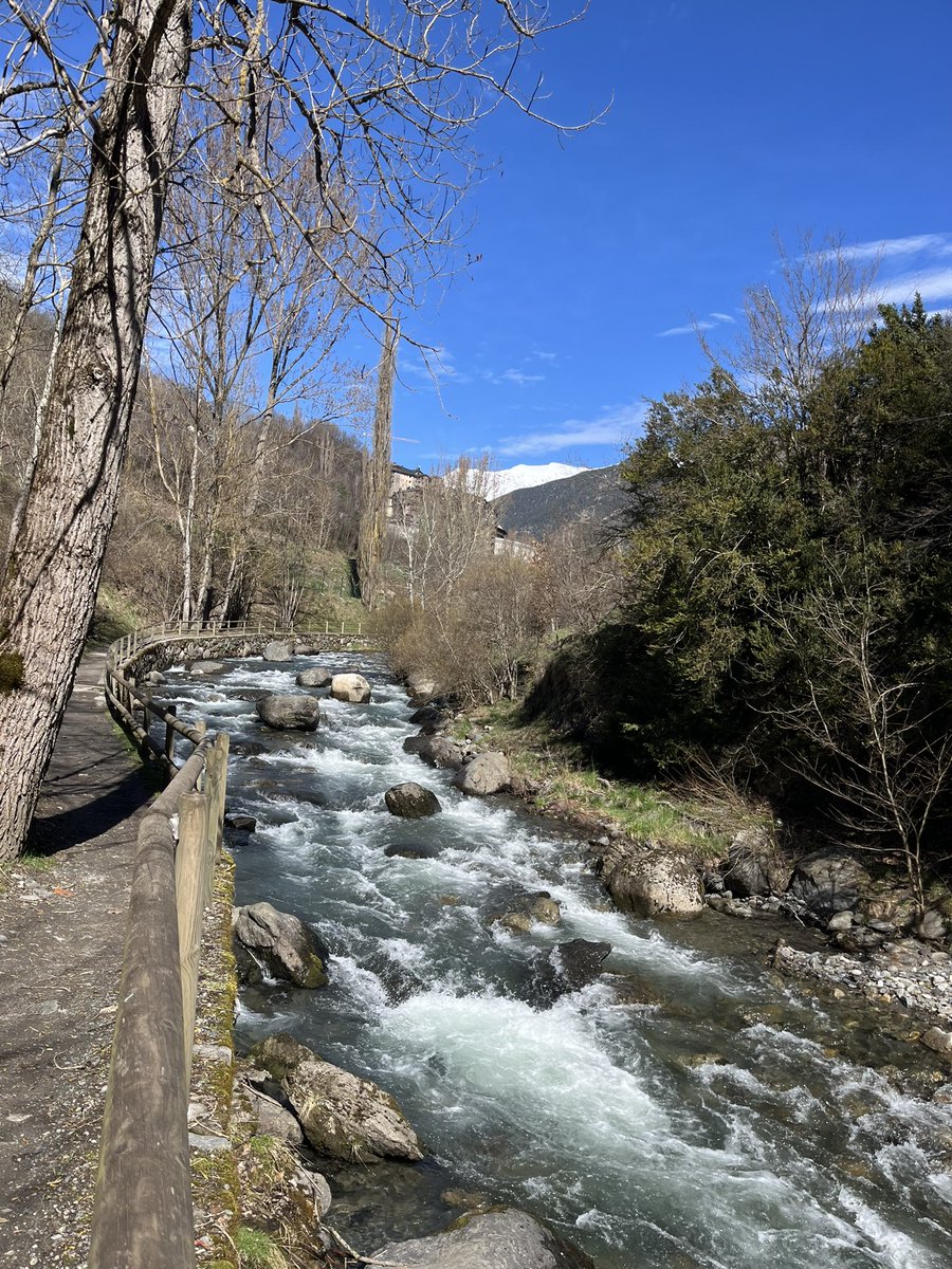 Dia radiant, però amb un aire un punt traïdor.
Bon dia a tothom.