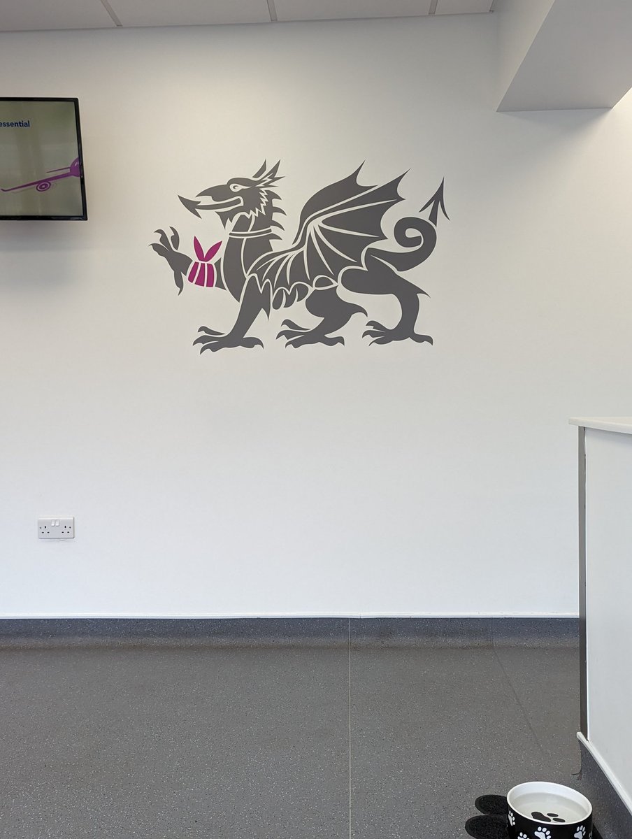 Oh no, not purple. Turns out my vets are also woke. How dare they mess with the dragon? #unionflag #flag #flagness #WokeAF #somethingtocryabout #cryharder #teamgb