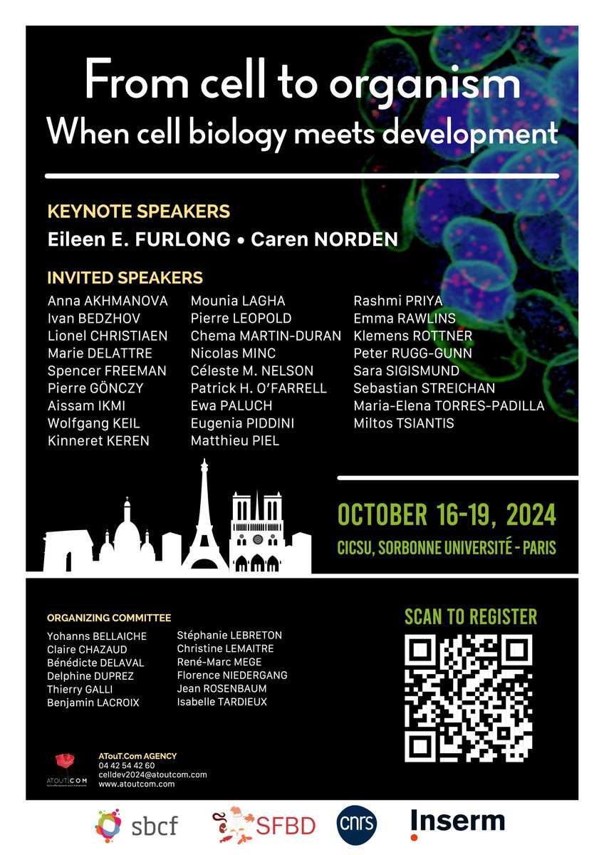 Conference From cell to organism- When Cell Biology meets Development. Paris, October 16-19, 2024, save the date! atoutcom.com/cell-developme… @SBCF1 @sfbd_biodev