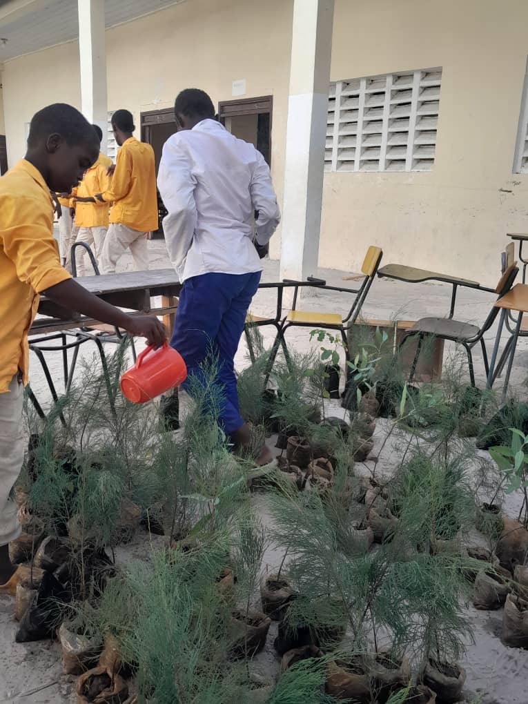We donated trees to the Somali Deaf School, with each student responsible for planting and caring for their tree. Empowering students to be environmentally aware is critical, as they will be the generation to tackle the climate crisis.
#planttree #climeaction
