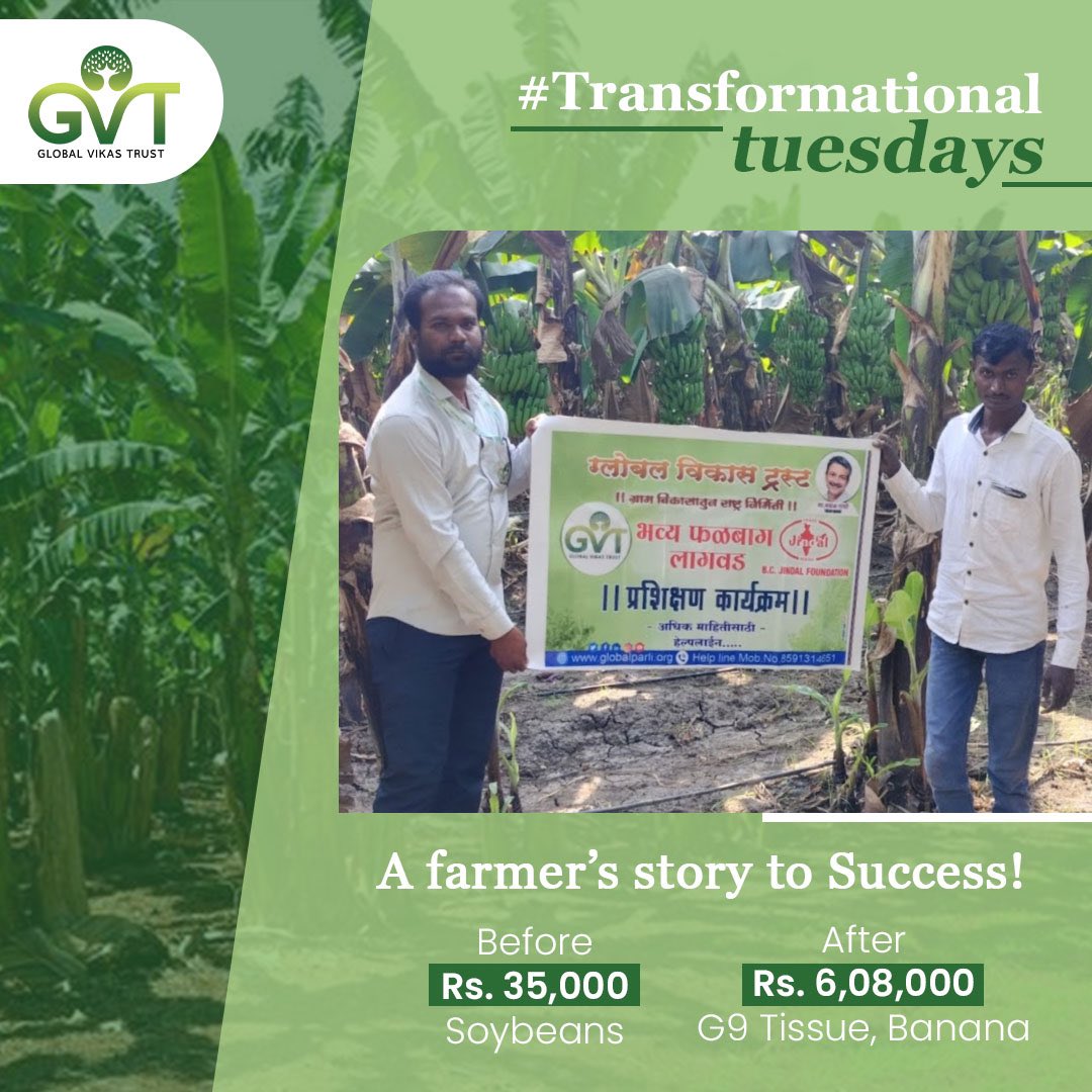 Balaji Tukaram Deshmukh, hailing from village Barad (Nanded), has transformed with the help of Global Vikas Trust. He transitioned from cultivating soybeans to adopting G9 Tissue cultivation of Banana. Resulting in an increase in crop yield and net income of Rs.6,08,000.