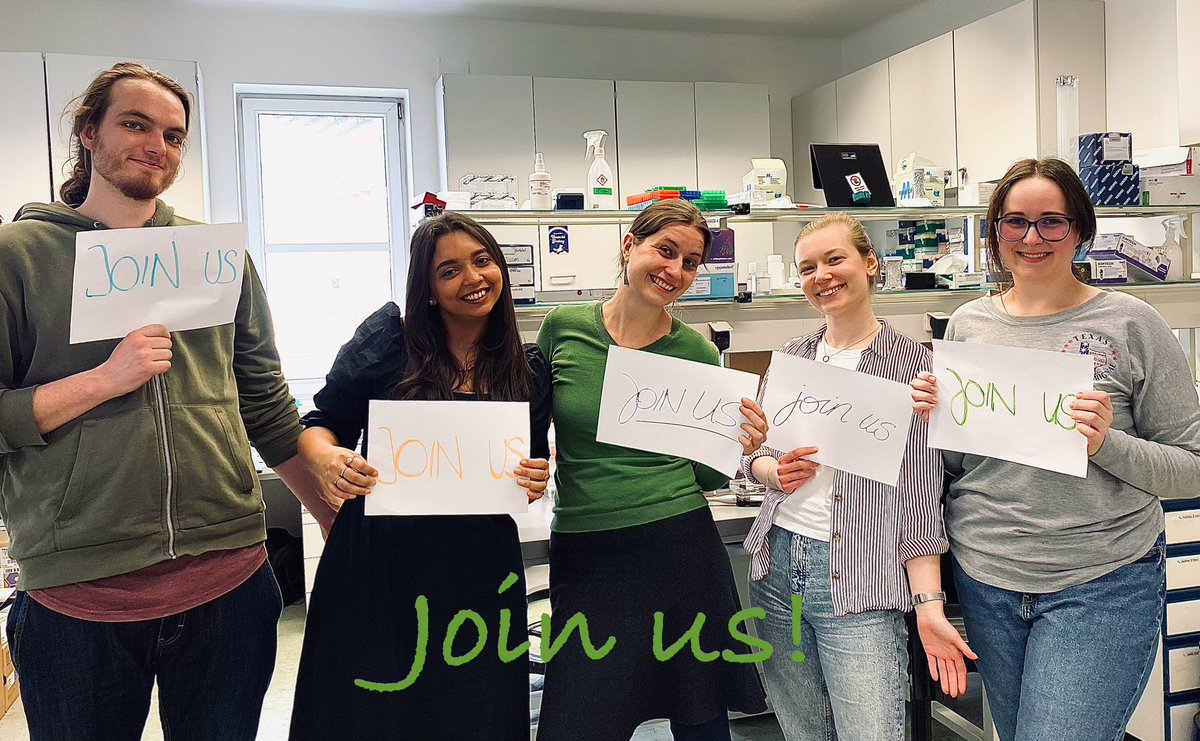 Juliane Winkler (@julianescience) on Twitter photo Why do patients die from cancer while others survive? Join us <a href="/cancerCCR/">Center for Cancer Research MedUniWien</a> in Vienna to find out! I am recruiting a #PhD candidate to work on solving the puzzle 🧩 of #metastasis using #singlecell & #spatial omics 👩🏽💻🧑🔬Apply by April 15 ⏰ Find out more 👉tinyurl.com/bdz9yv5v Why do patients die from cancer while others survive? Join us <a href="/cancerCCR/">Center for Cancer Research MedUniWien</a> in Vienna to find out! I am recruiting a #PhD candidate to work on solving the puzzle 🧩 of #metastasis using #singlecell & #spatial omics 👩🏽💻🧑🔬Apply by April 15 ⏰ Find out more 👉tinyurl.com/bdz9yv5v