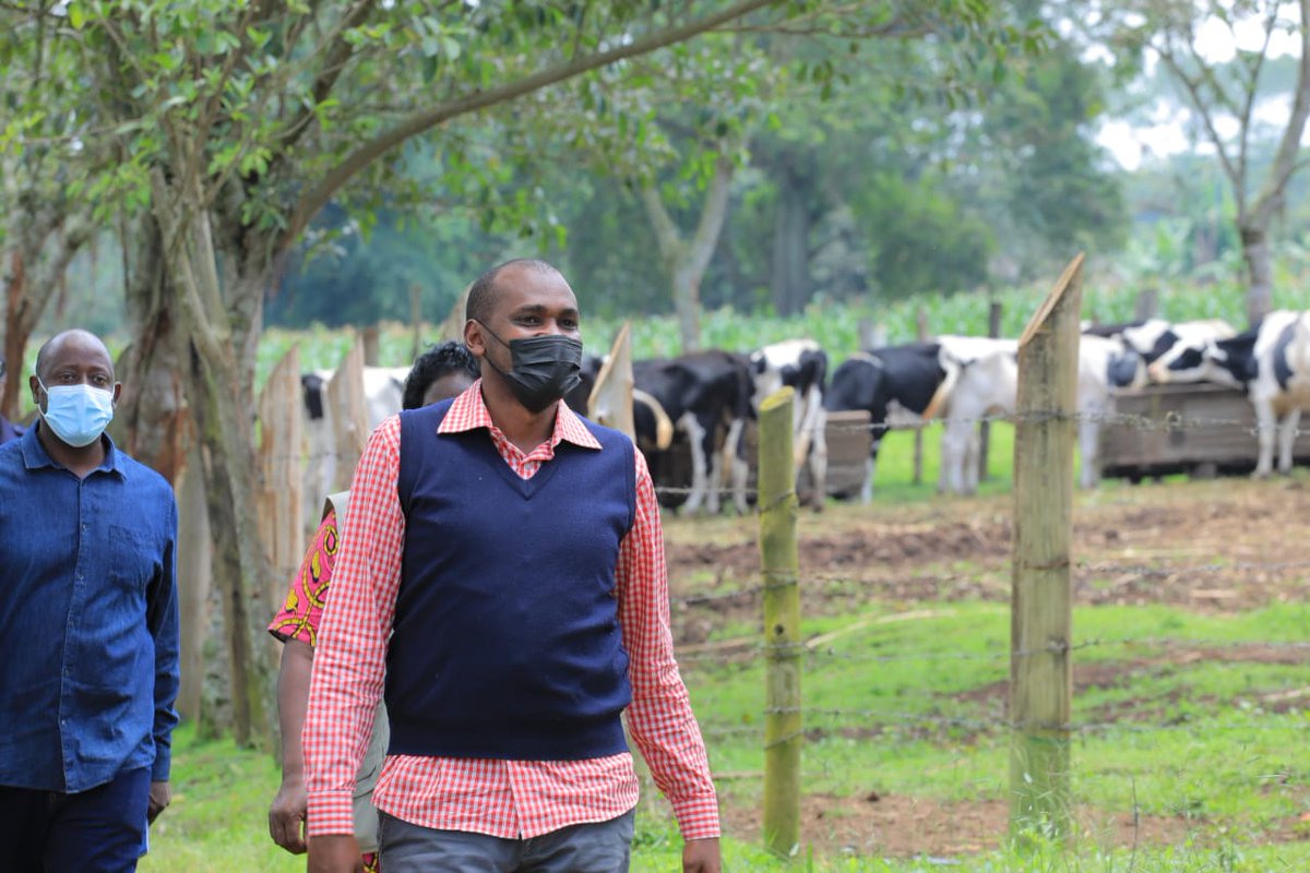 Agro-Industrialisation programme progress (Livestock sub-sector): @DDAUganda the Dairy sub-sector Agency of MAAIF reported an increase in Dairy product exports from USD 102.6 million to USD 264.5 million in Financial Year 2022/23. @KagutaMuseveni @FrankTumwebazek @PS_MAAIF