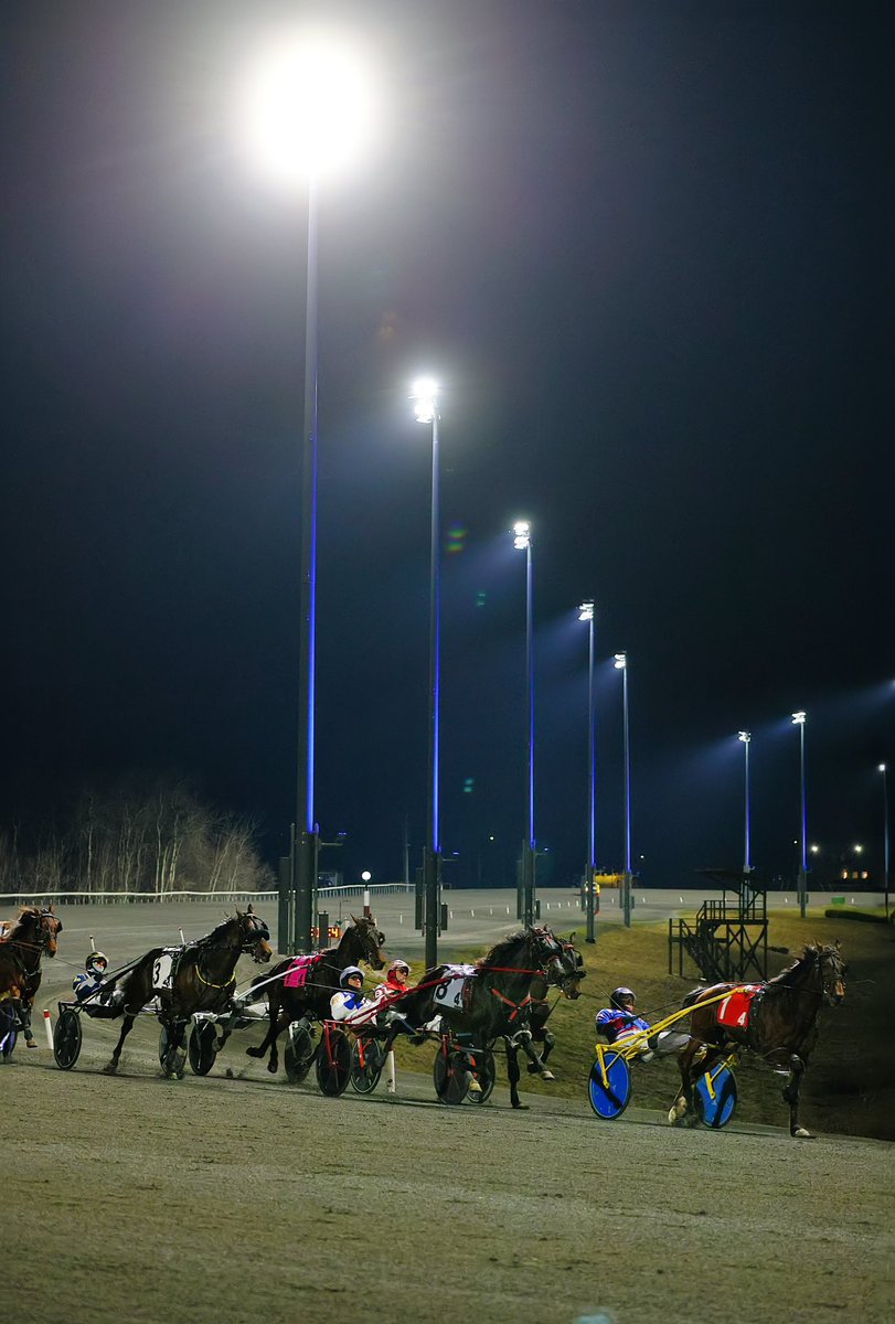 April 1st, 2024 marks 100 years of service for the Royal Canadian Air Force as a distinct military element. We illuminated our lights at @WoodbineSB Mohawk Park in Air Force Blue to celebrate. We thank our Veterans, and those serving today, for your service to Canada. 🇨🇦