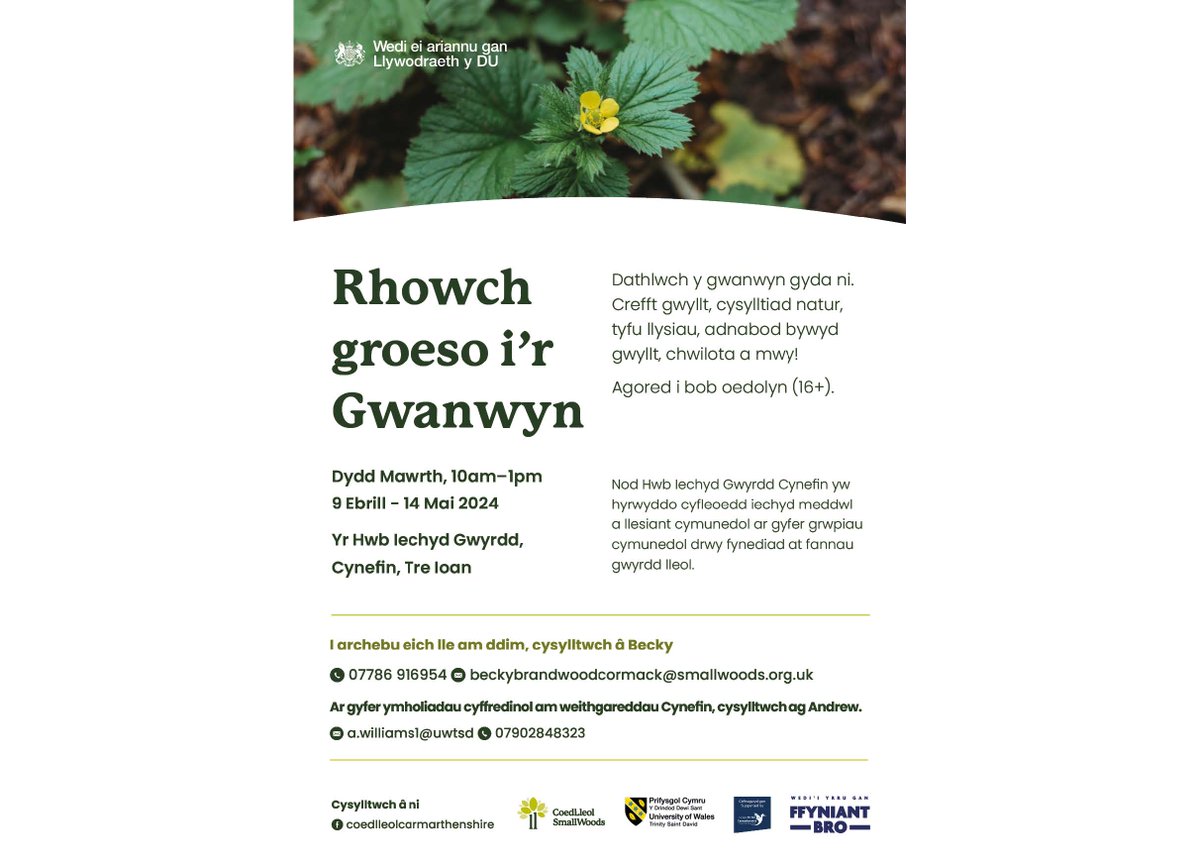 Rhowch Groeso i’r Gwanwyn Dathlwch y Gwanwyn gyda ni 🌻. 📅Dydd Mawrth, 10am – 1pm 🕓9 Ebrill – 14 Mai 📍Yr Hwb Iechyd Gwyrdd, Cynefin, Tre Ioan I archebu eich lle am ddim, cysylltwch â Becky. E-bost: beckybrandwoodcormack@smallwoods.org.uk Ffôn: 07786091654