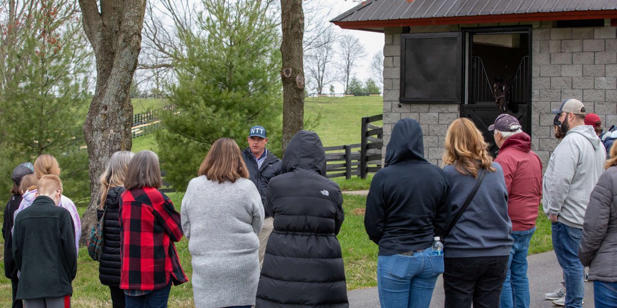 Join our very own Levi Dunlap in @theTDN fantastic video as he showcases the beauty of #TaylorMade Farm to horse enthusiasts, both newcomers & long-time fans alike! 'They're taken care of so well' @LightUpRacing ➡️youtube.com/watch?v=c7f_Kw… Want to tour? Visit @KYHorseCountry