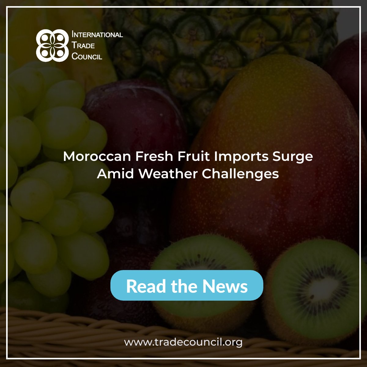 Moroccan Fresh Fruit Imports Surge Amid Weather Challenges
Read The New: tradecouncil.org/moroccan-fresh…
#ITCNewsUpdates #MoroccoImports #FreshFruitTrade #InternationalTrade #SupplyChainResilience #NewsUpdate