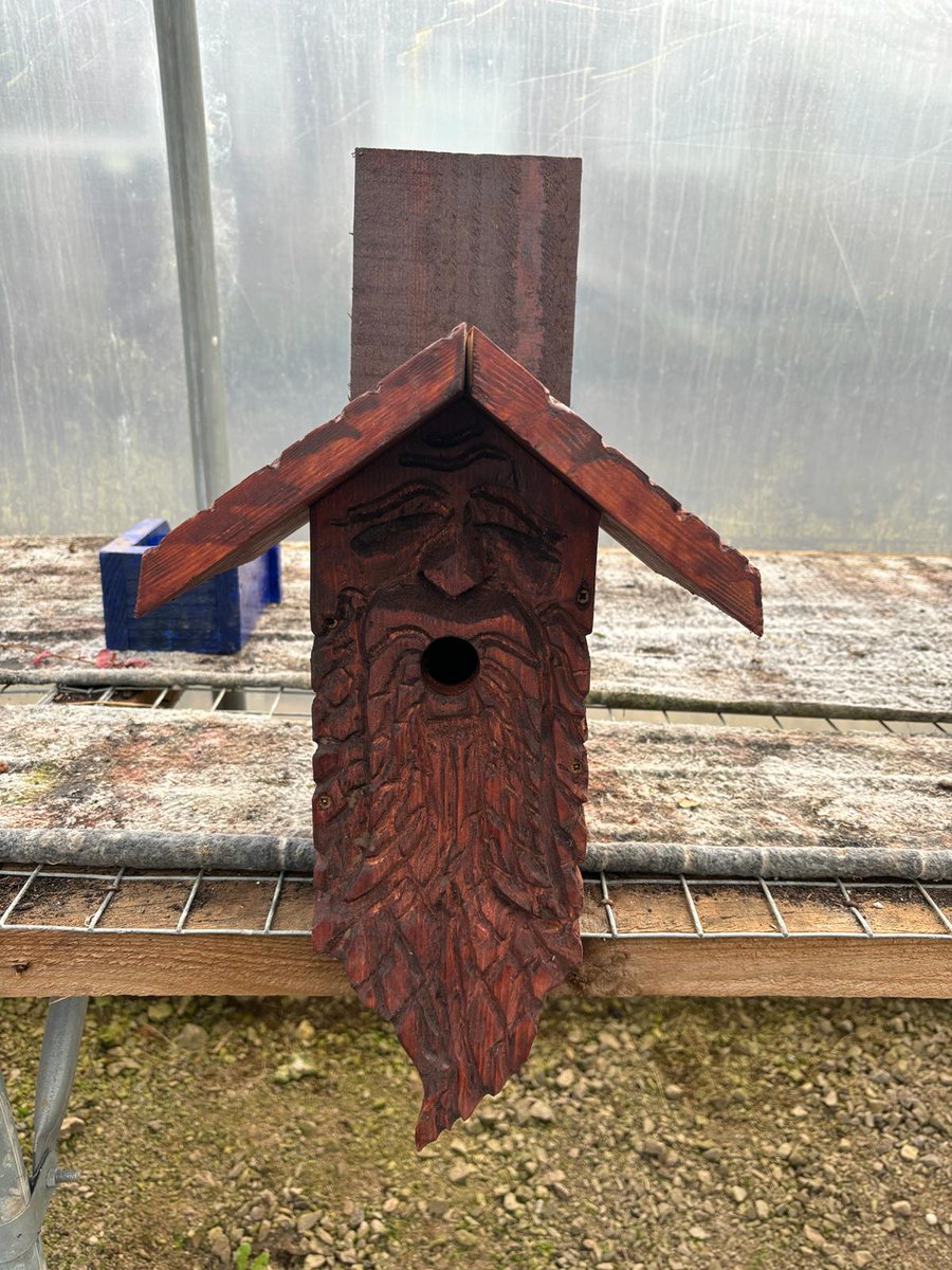 Our Lancashire Landbase team have been doing an amazing job painting wooden bird houses. The houses will eventually be put up in the woodland areas of Lisieux Hall - the team can’t wait to see what different birds will use them! 🐦