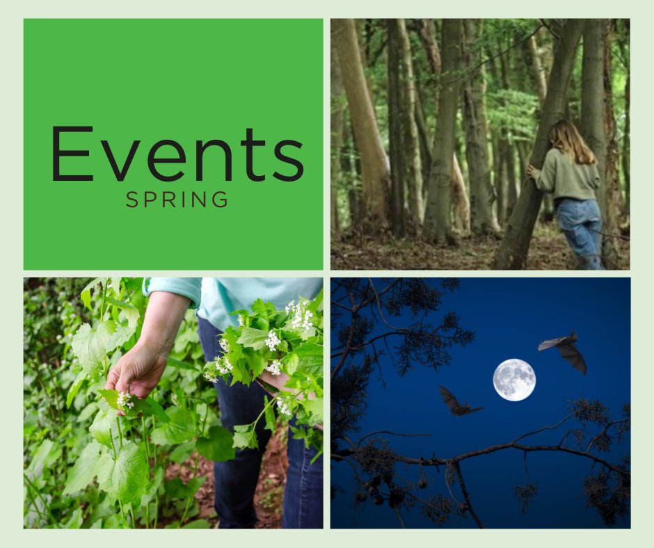 We still have a few spaces left on our spring events. Explore the Chilterns, connect with nature or forage for edible and medicinal plants! Booking is essential 👉bit.ly/3ue9Rdr