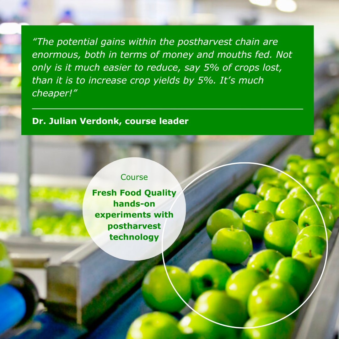 WURplant's tweet photo. 📢 Attention agriculture, food supply and Q&amp;A professionals! Would you like to become an expert in making sure that fresh produce stays at optimal quality after harvest? Then this course might be for you! 👉 https://t.co/Xg3xwTgMs0 @WURacademy #postharvest #sustainability https://t.co/dnbusKmlIJ