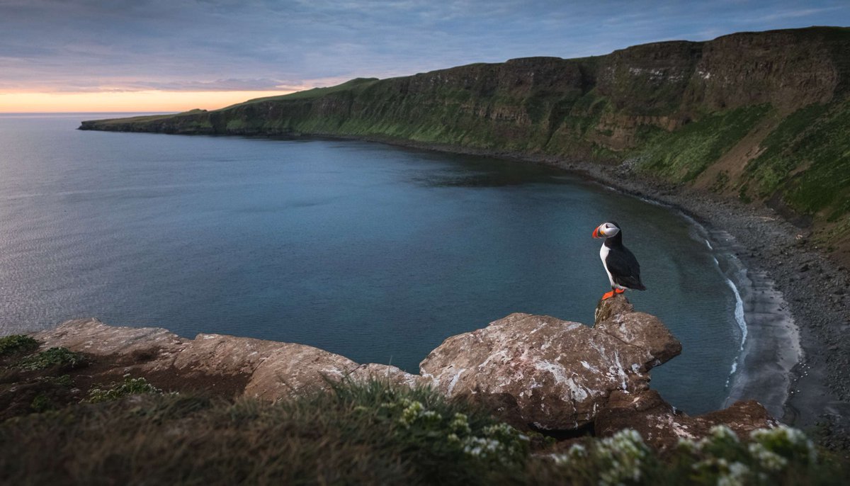 "We have learned to admire and respect what surrounds us by learning about it and loving ourselves more."

Safina Center Fellow Belén Garcia Ovide journeys to Iceland's first #HopeSpot — an area designated as critical to the health of the #Ocean.

safinacenter.org/blog/the-hope-…