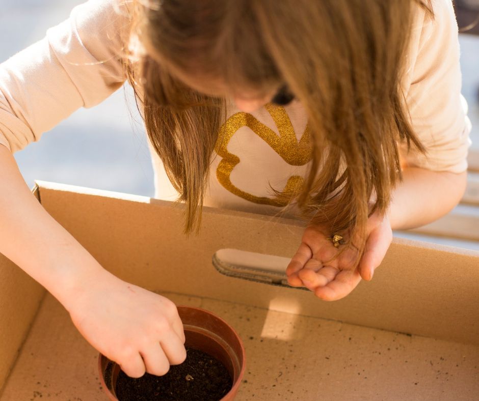 Call into any of our libraries over the Easter holidays & ask at the counter for your FREE seed to plant, take home & grow! Decorate a wooden plant label too to pop in the pot or the garden next to your soaring sunflower🌻 Library opening times: orlo.uk/DzFfE