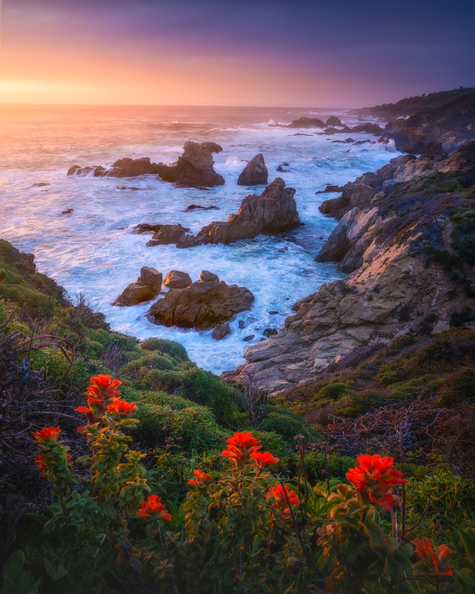 Enjoyed photographing the Big Sur coast last week.