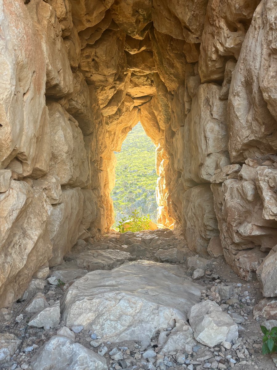 Hmptn_Classics's tweet image. Landing like Xerxes
To conquer Kronos’ mist
In myth-strewn Hellas. 
(CRB, 2024) 

Competition was fierce in our trip’s haiku, limerick and photo competitions! 

Some of the best entries for ‘Best Serious Photo’ are below. μέγα κύδος to Lorenzo for his winning photo of Sounion!