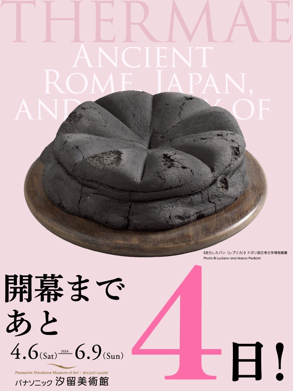 テルマエ展 on X: 