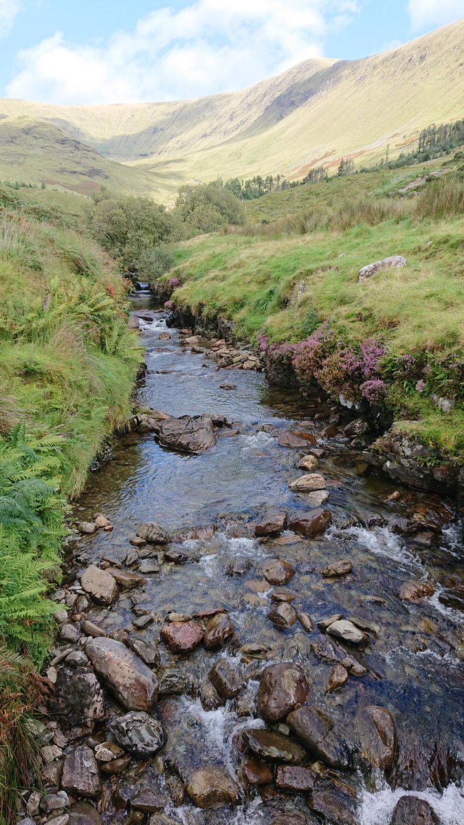 New publication! Assessing watercourse quality using results-based indicators in an agri- scheme.....follow the link to find out more sciencedirect.com/science/articl… #Ecology #Rivers #farming @atusligo_ie @MORANEnv @pearl_mussel