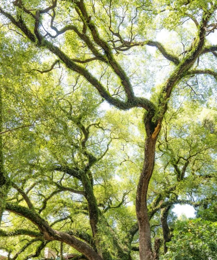 Jimmymi2's tweet image. 