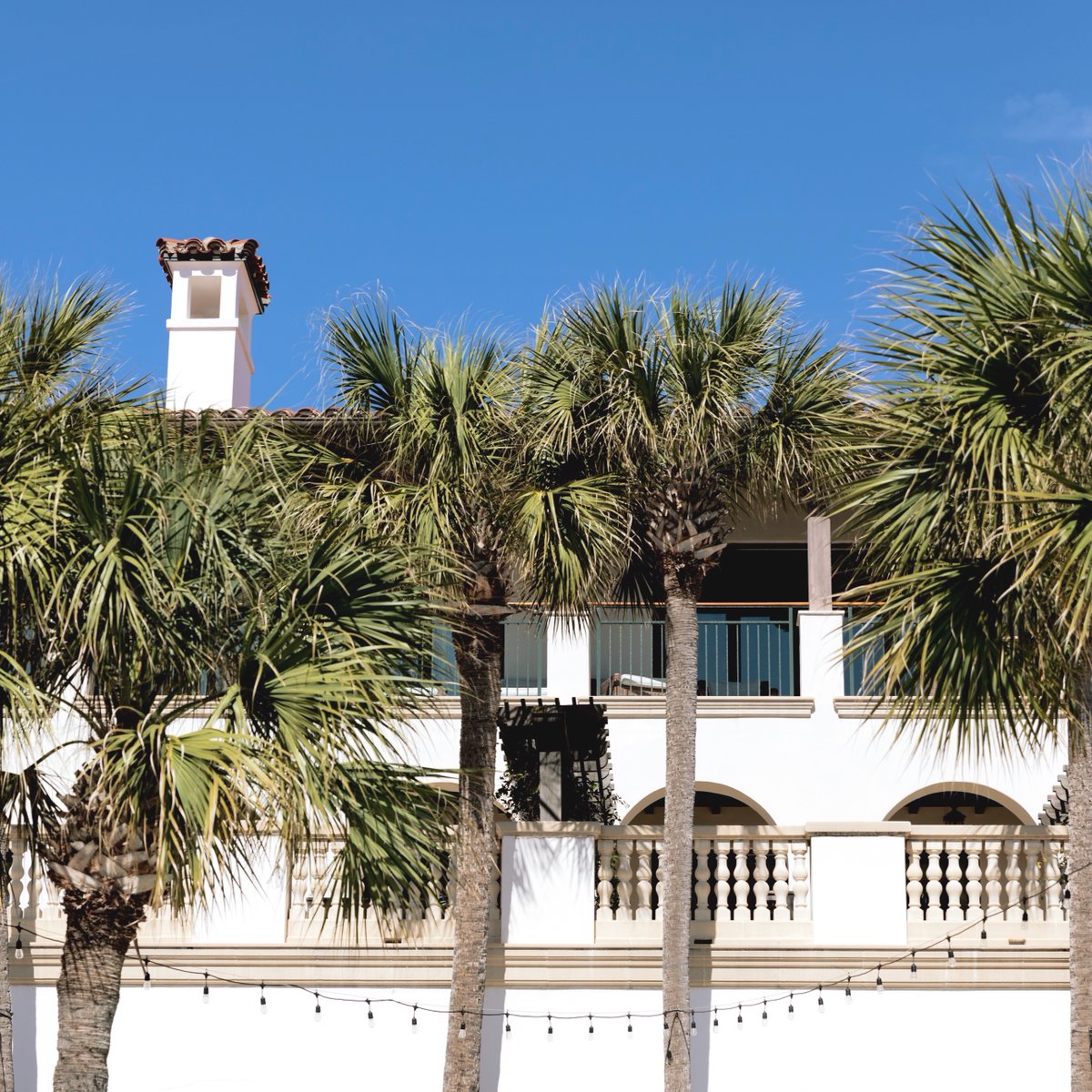 A stay at the Beach Club means palm trees are always in view. 🌴