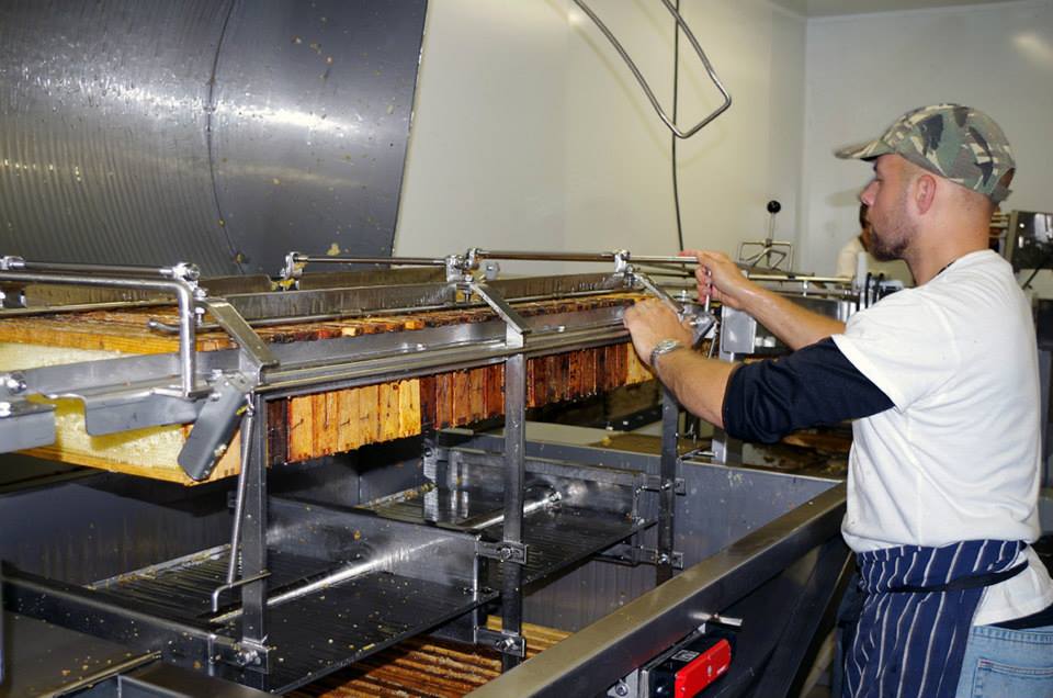 Why buy British honey?🇬🇧

Only 14% of the honey we consume comes from Britain, compared to 60% on average in Europe.

Most of our bee keepers are small-scale enterprises.

Support our local economies and Love British Honey!🇬🇧