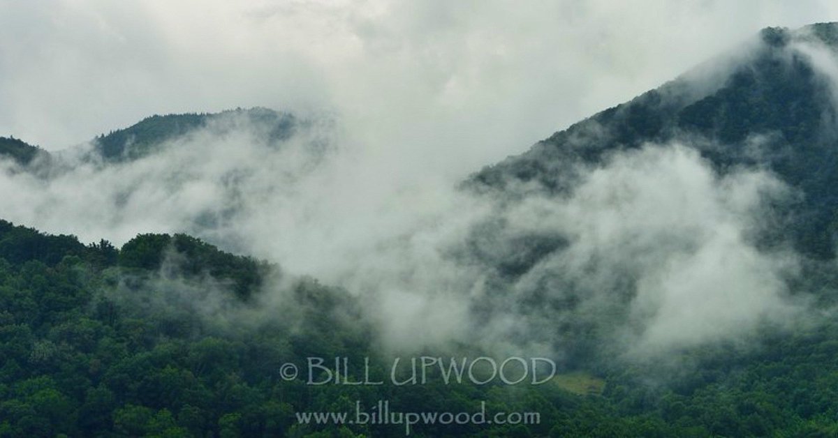 Morning Fog

#maggievalley #northcarolina #nc #fog #mountains #mountain #morning #photographylovers #photooftheday #naturephotography 
#landscapephotography #nikon #nikonusa #nikonphotography #nikonnofilter #billupwoodphoto