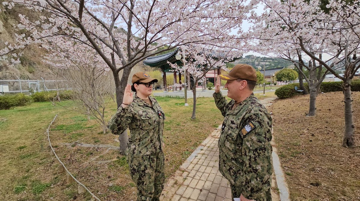 NavyChaplains's tweet photo. Congratulations to RP1 Seneta for re-enlisting in the Navy Reserves!
"I love being an RP so much! Shout out to Chaplain Chapman for re-enlisting me under my favorite thing about Korea, cherry blossoms!"
#chaplain #religious #program #specialist #reenlist #service #navy #usnavy https://t.co/CBSIiQxcTu