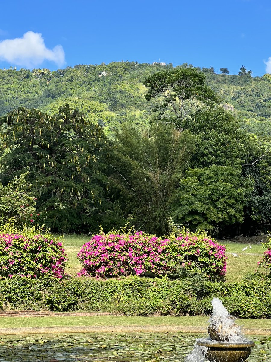 OneLynch's tweet image. 