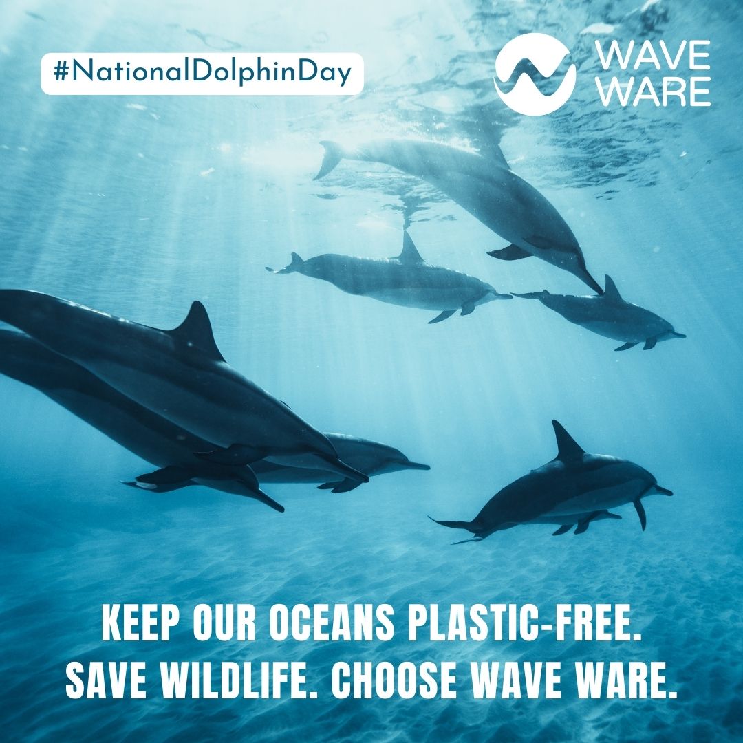 On #nationaldolphinday🐬, you can help save dolphins and other ocean wildlife by switching to #WaveWare. By choosing #compostable straws and goods made of #ecofriendly materials w/NO microplastics, we can help save oceans+waterways for years to come. 🌊 #nantbiorenewables