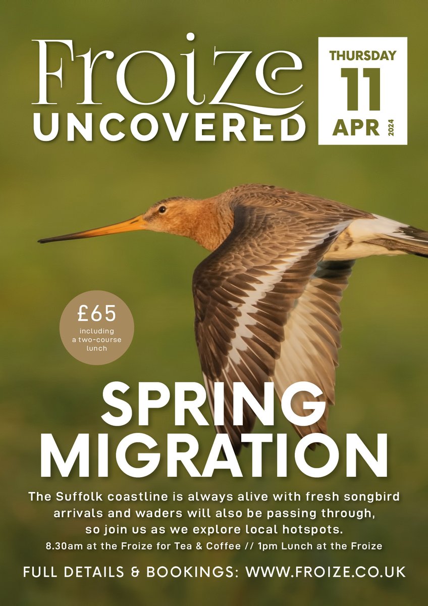 Our next GUIDED WILDLIFE WALK is on Thursday 11th April
Spring migration will be reaching its peak and the countryside will be bursting with birdsong as breeding territories are being established. The Suffolk coastline is always alive with fresh songbird arrivals.