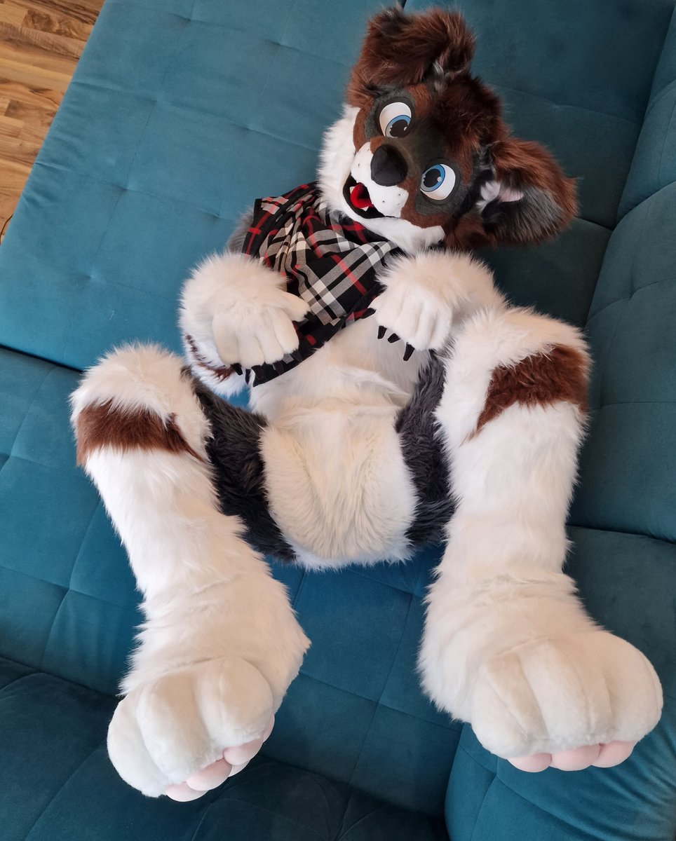 Hey! Wanna join me being a silly dog?